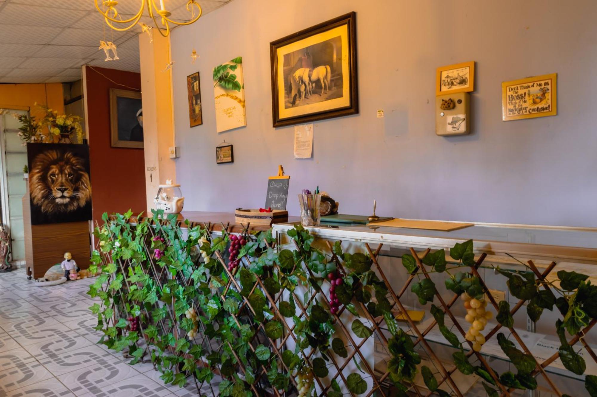 Black Lion Inn Santiago de Veraguas Extérieur photo